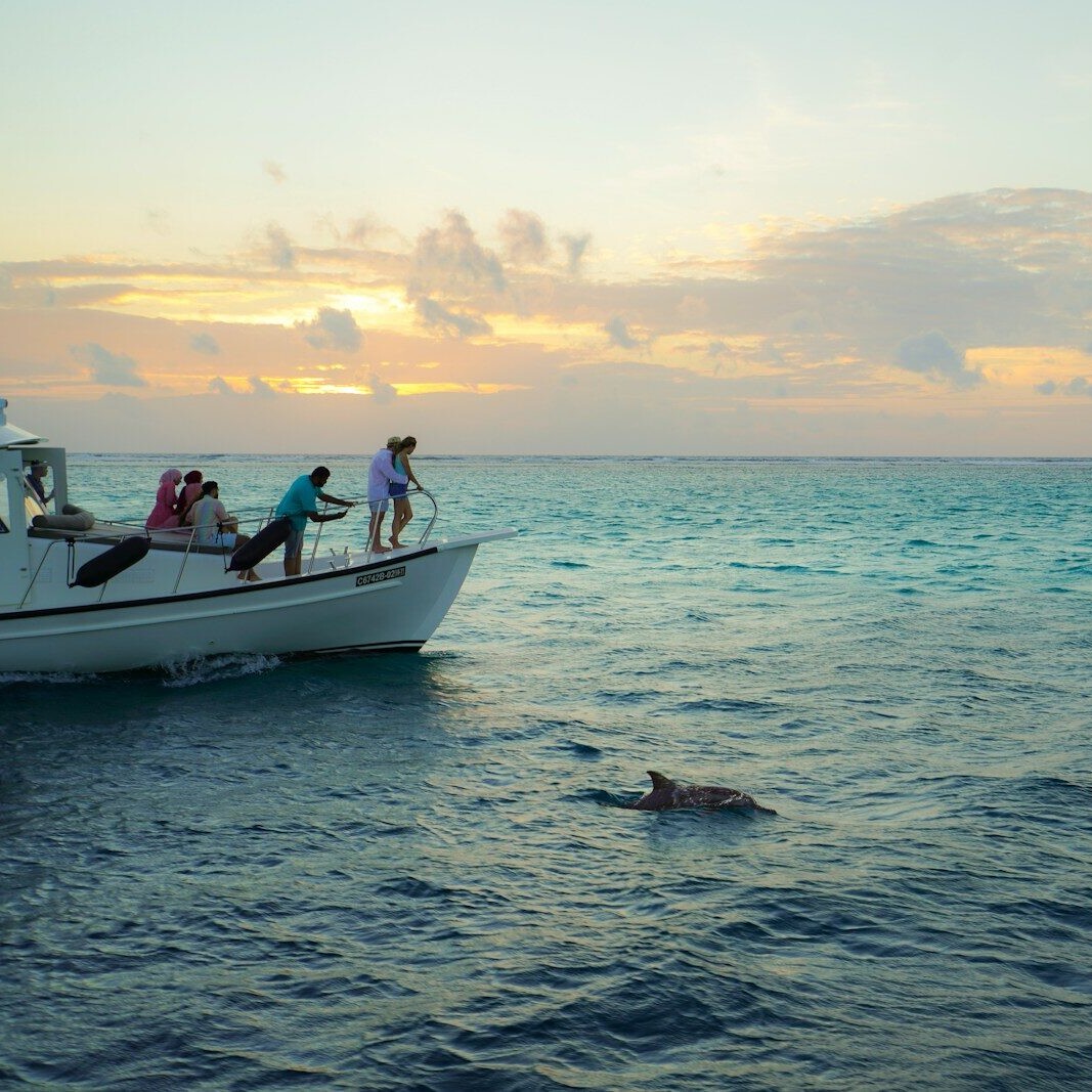 a group of people riding on the back of a boat